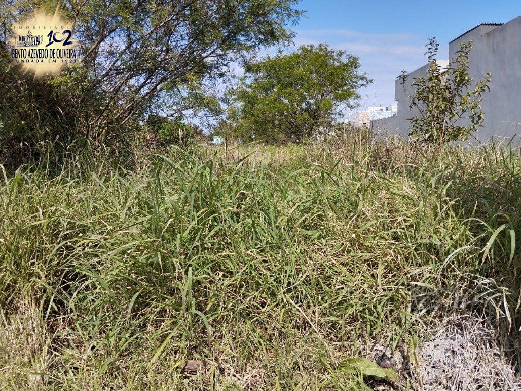 Terreno, 125 m² - Foto 7