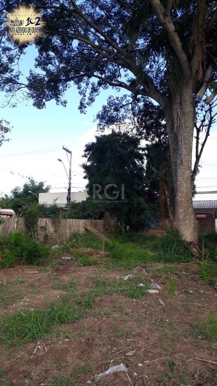 Terreno, 300 m² - Foto 18