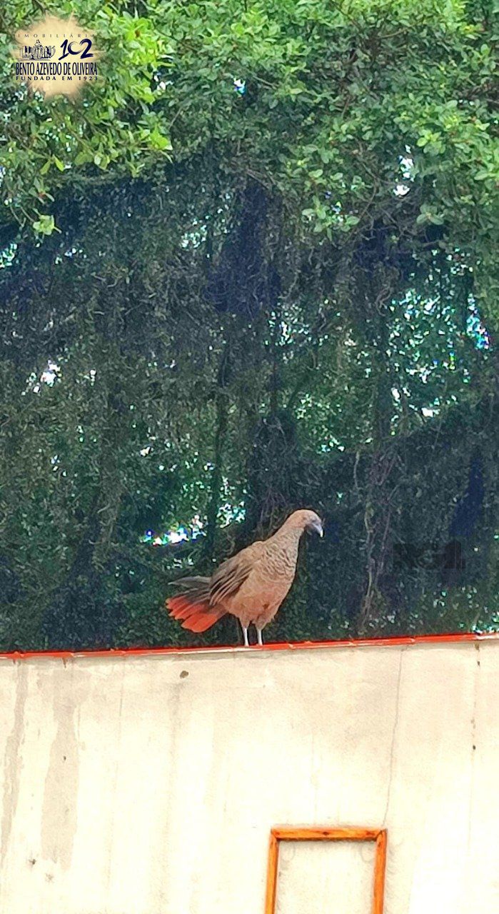 Casa, 2 quartos, 155 m² - Foto 17