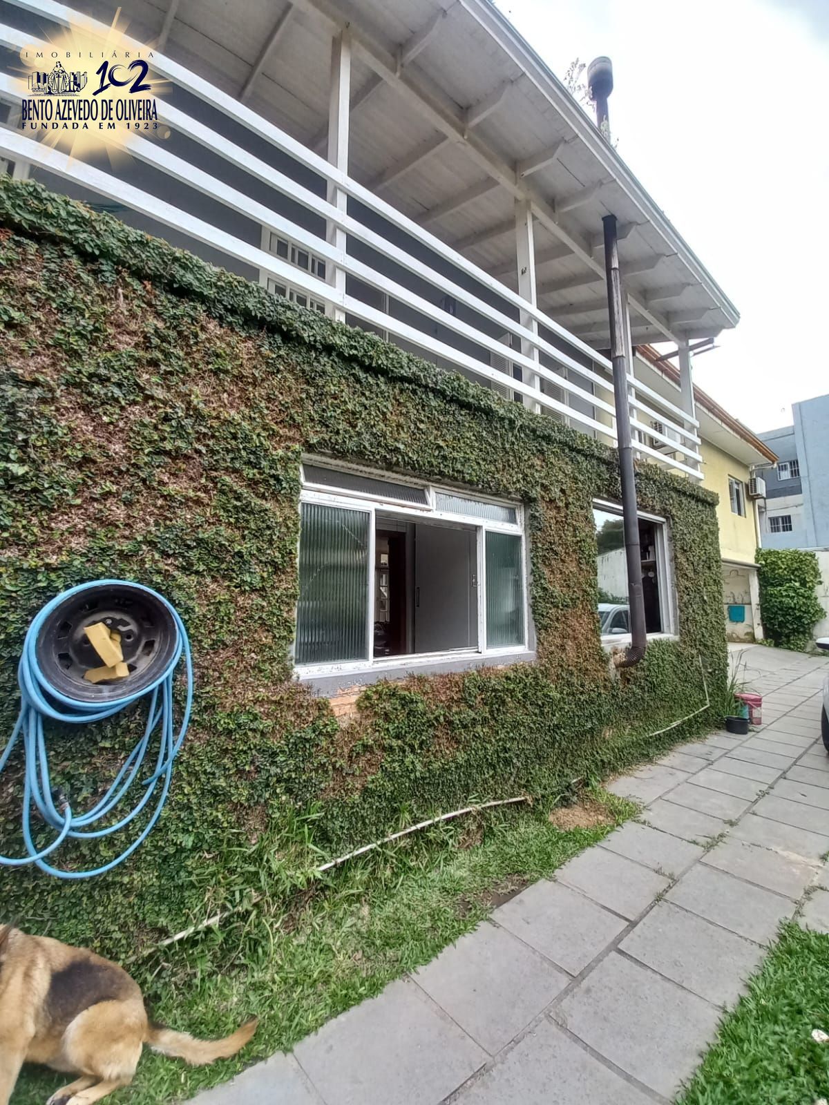 Casa, 6 quartos, 350 m² - Foto 12