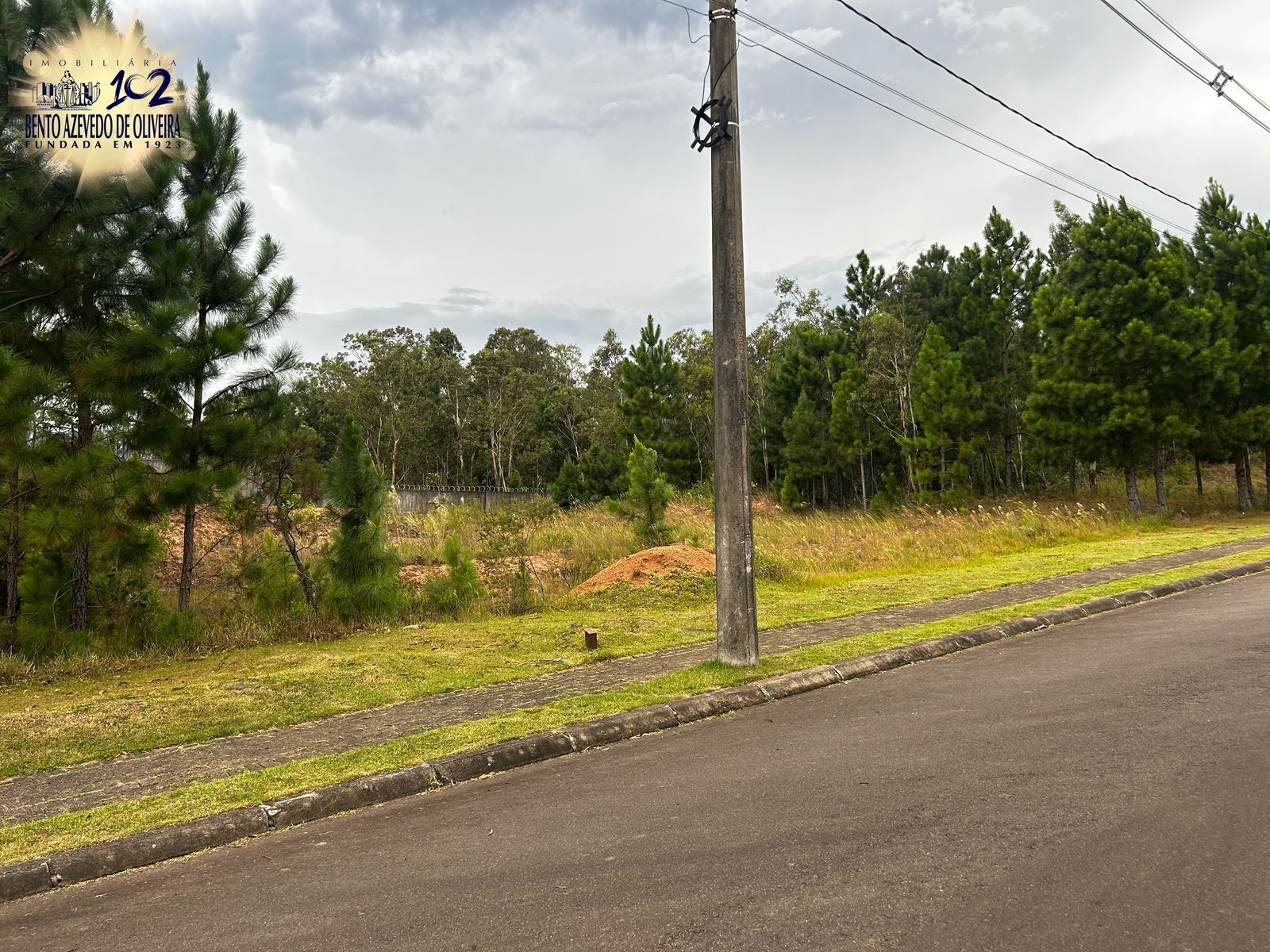 Terreno, 1234 m² - Foto 5