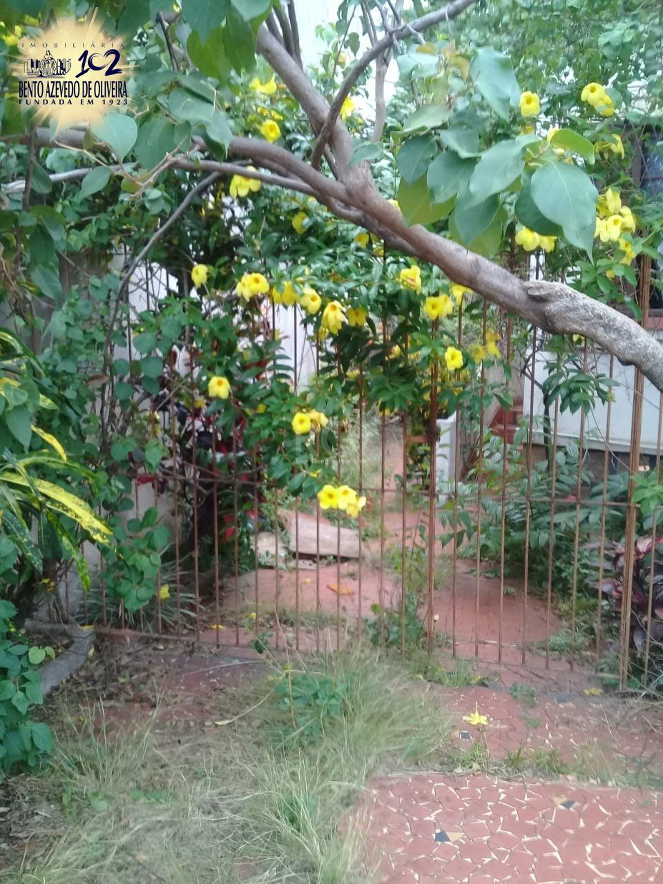 Casa, 4 quartos, 201 m² - Foto 36