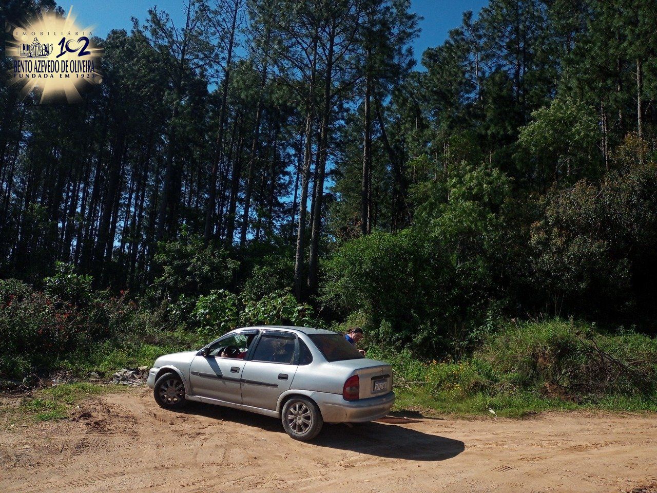 Terreno, 2 hectares - Foto 5