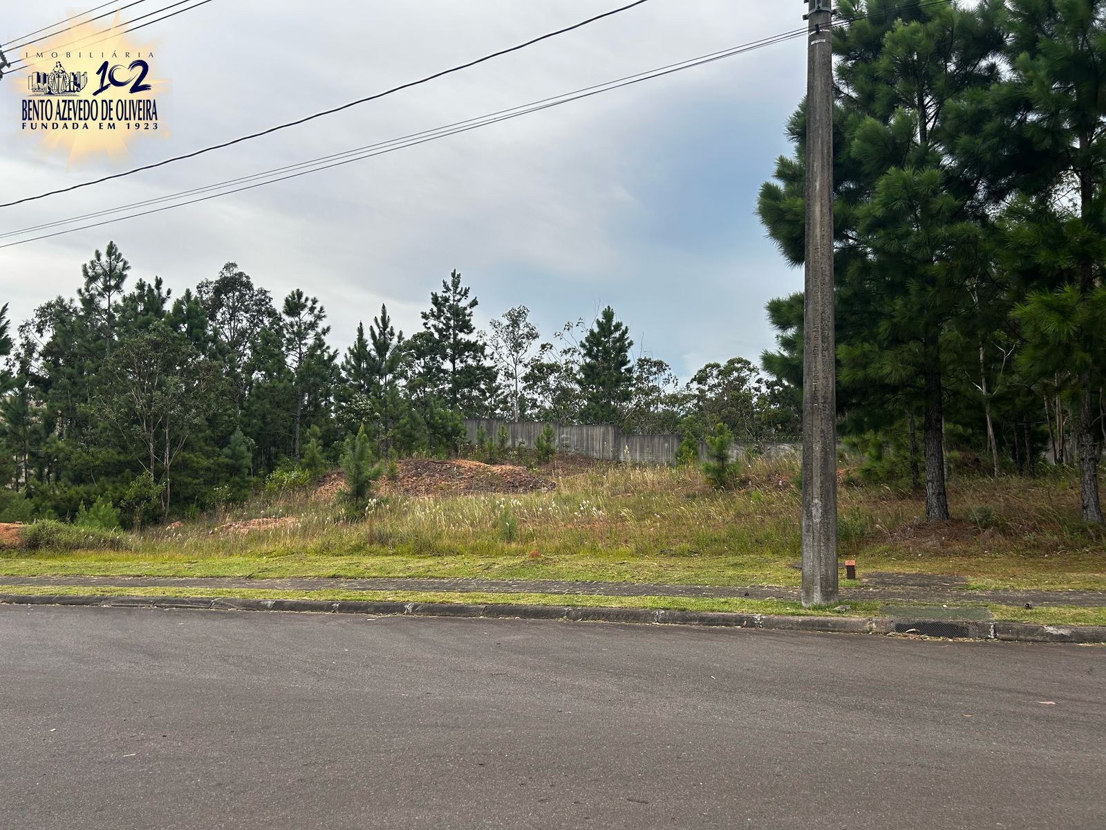 Terreno, 1234 m² - Foto 7