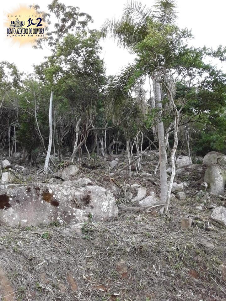 Terreno, 973 m² - Foto 4