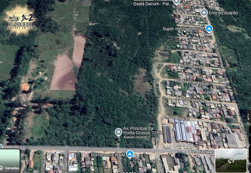 Terreno, 2 hectares - Foto 1