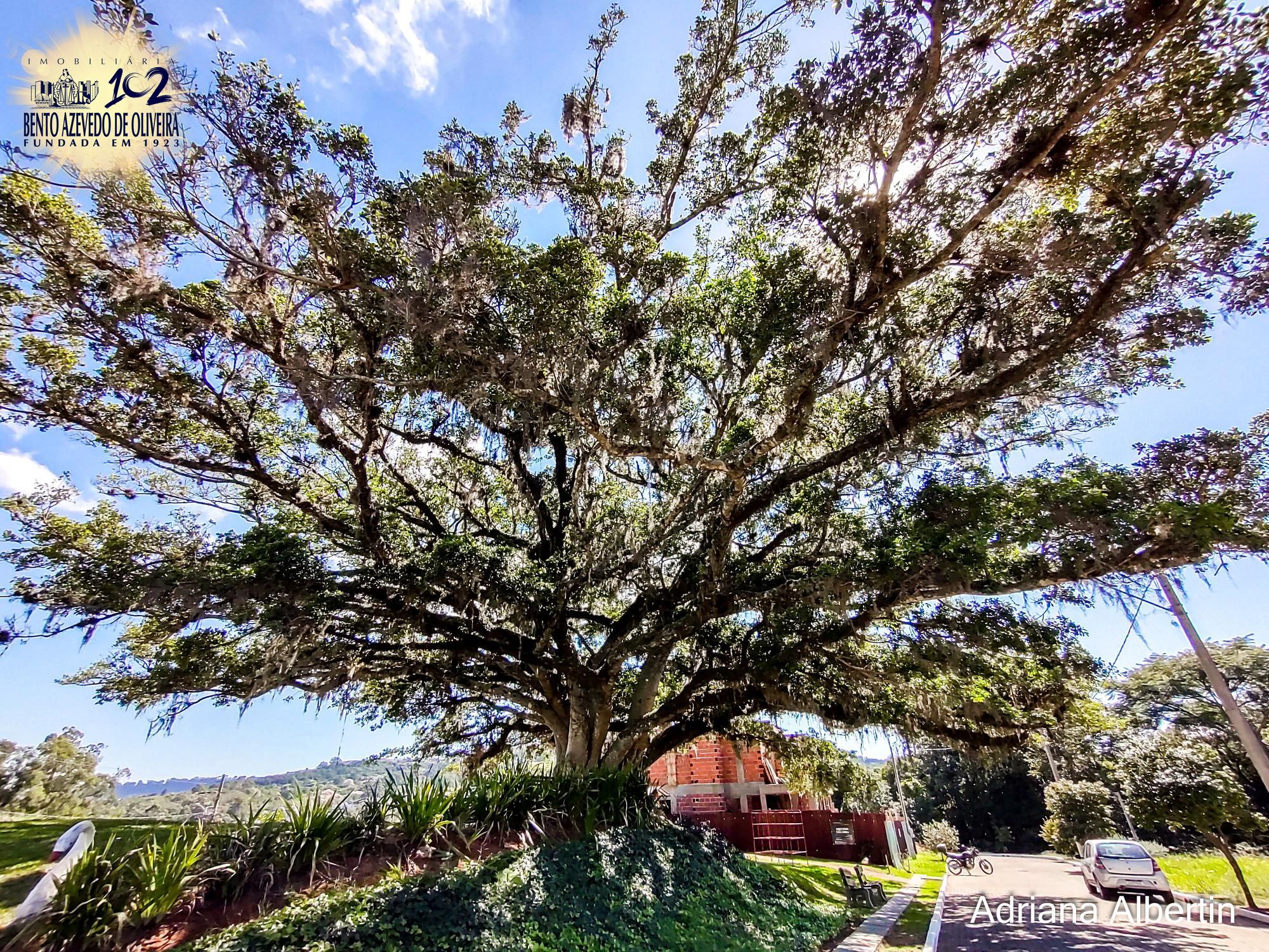 Casa de Condomínio, 3 quartos - Foto 36