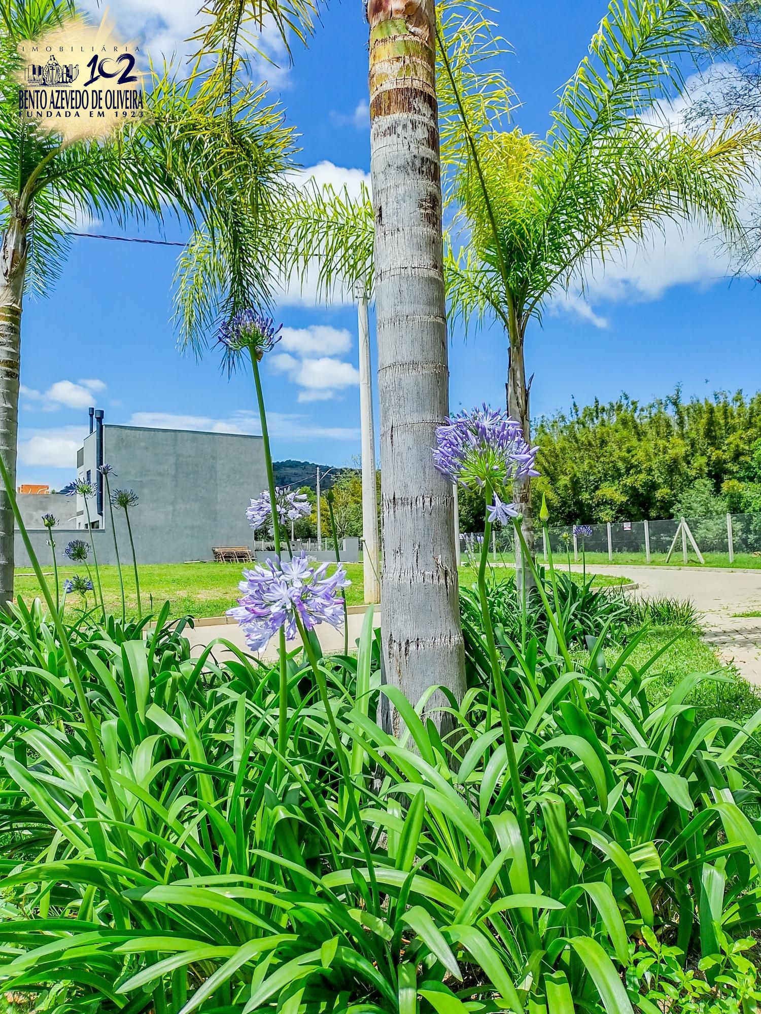 Terreno, 122 m² - Foto 22