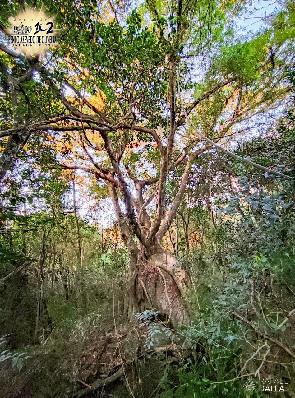 Casa de Condomínio, 4 quartos - Foto 88