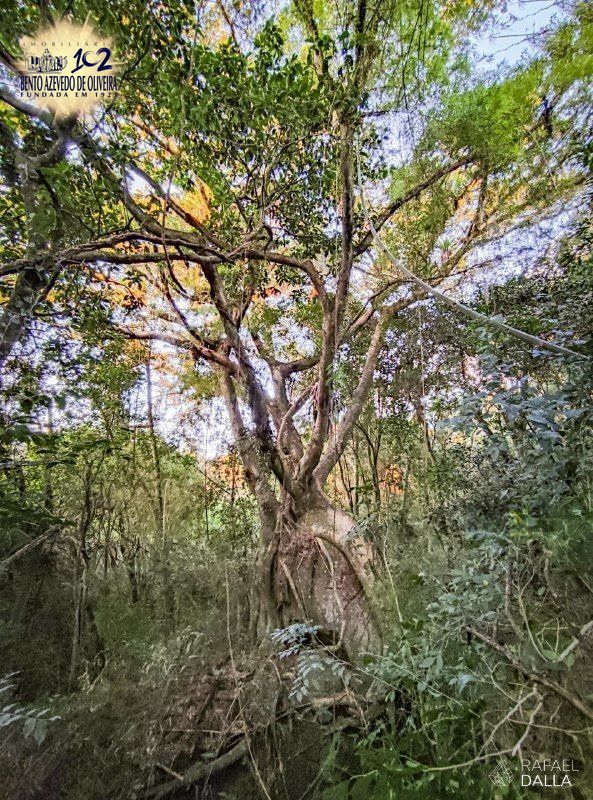 Terreno, 1370 m² - Foto 36