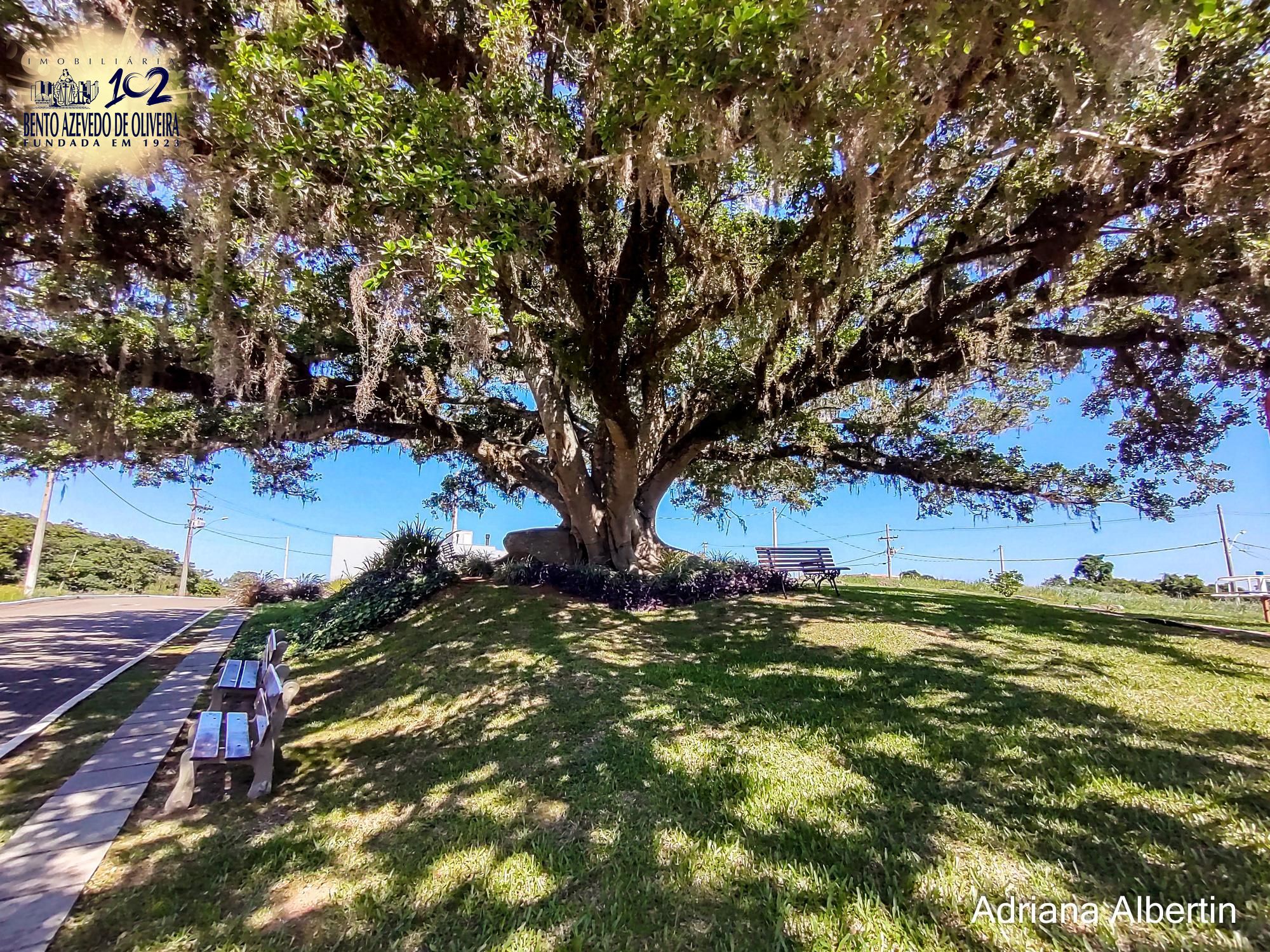 Casa de Condomínio, 3 quartos - Foto 30