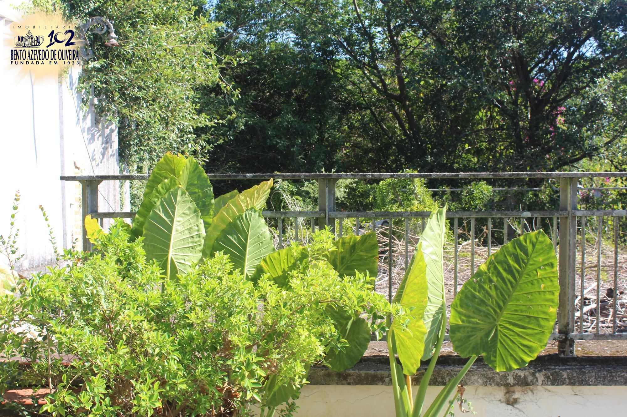 Casa, 4 quartos, 506 m² - Foto 8