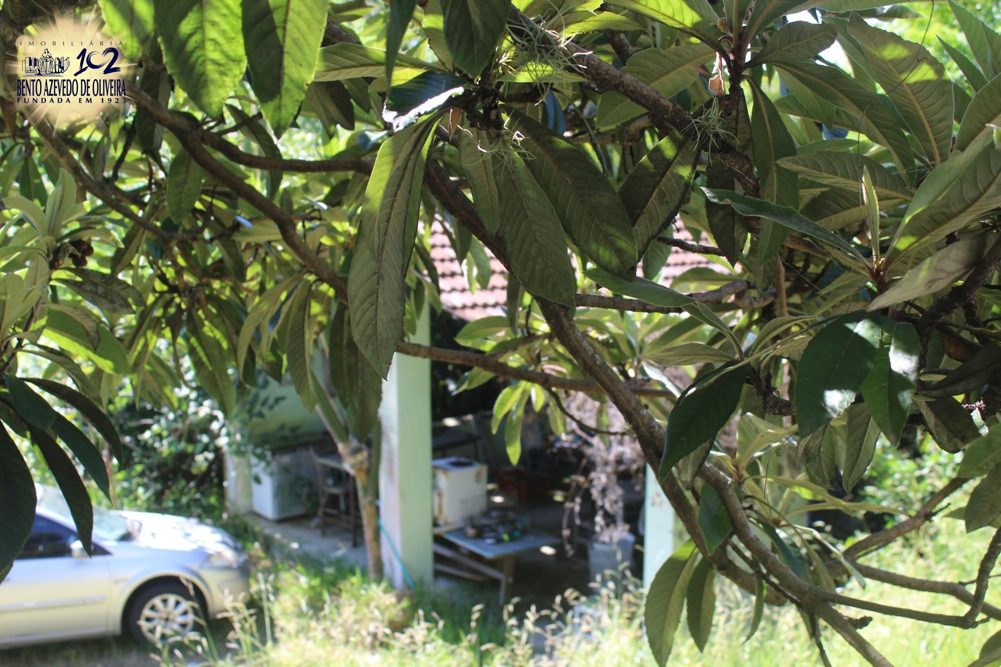 Casa, 4 quartos, 506 m² - Foto 13