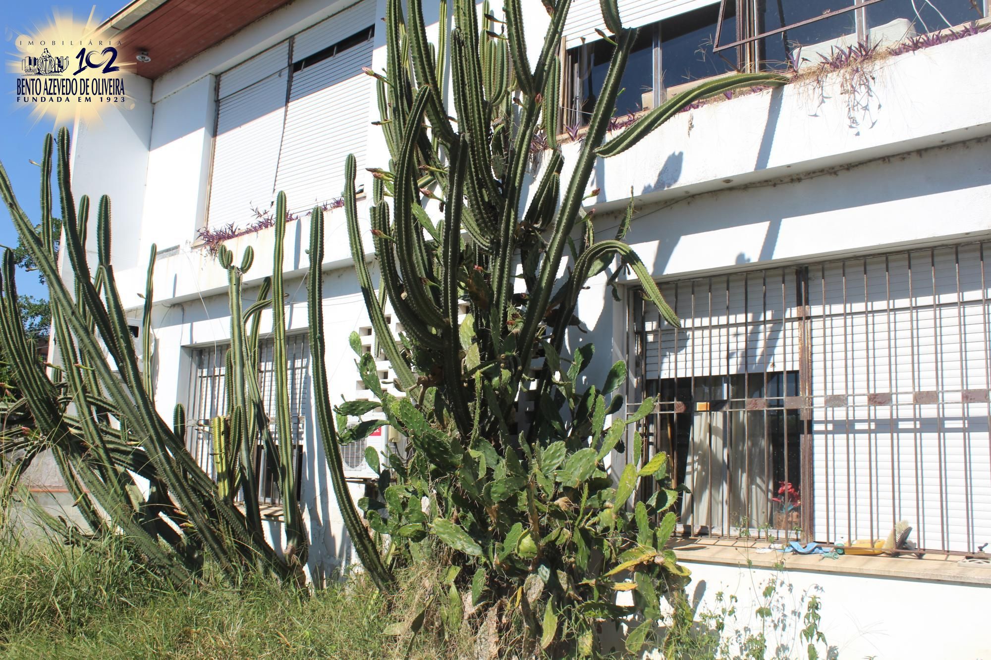 Casa, 4 quartos, 506 m² - Foto 14