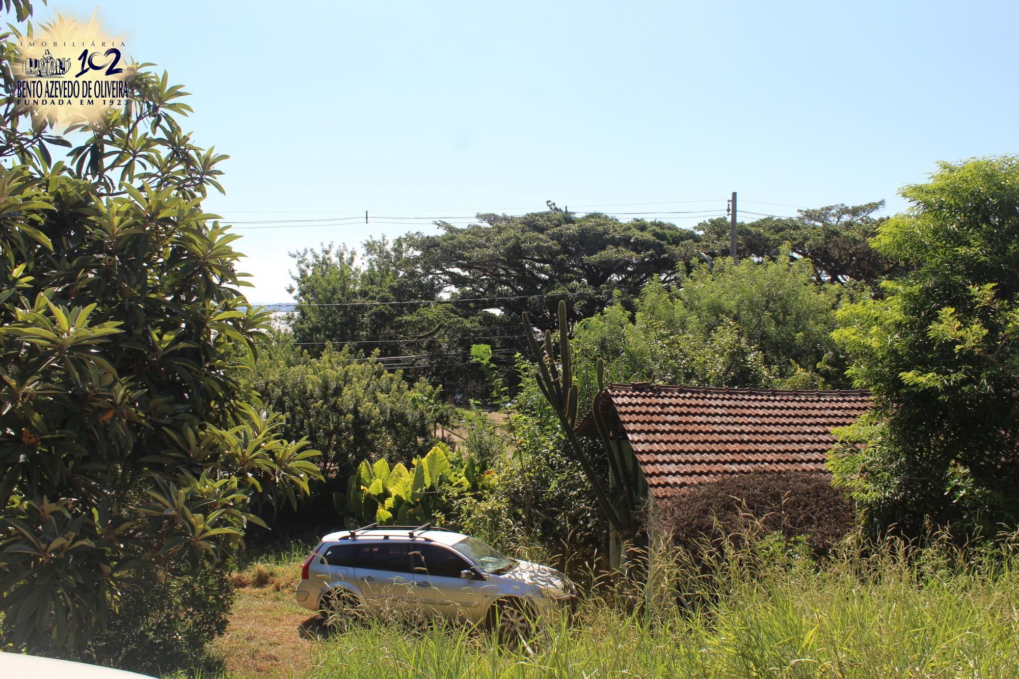 Casa, 4 quartos, 506 m² - Foto 16