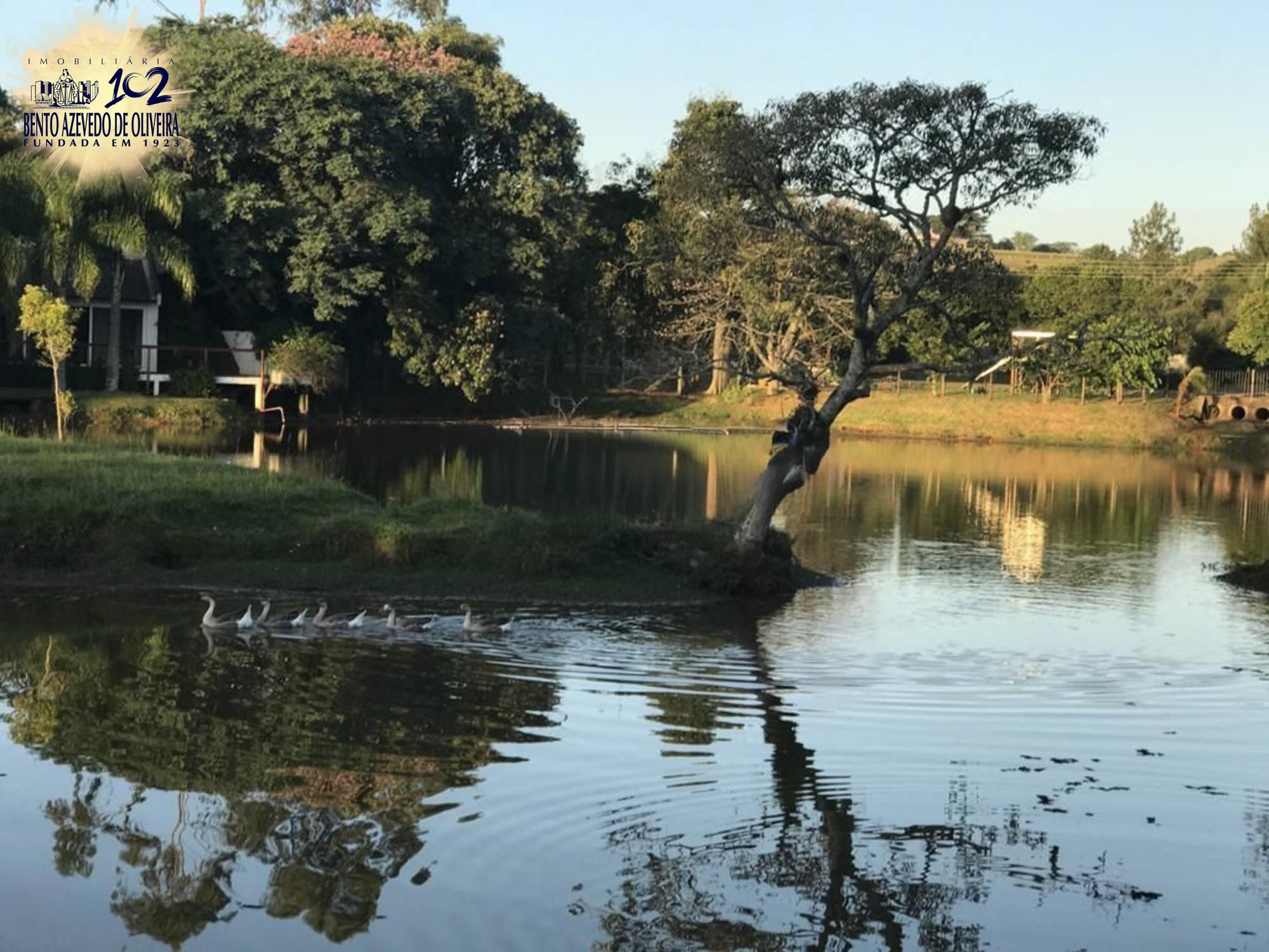 Terreno, 2552 m² - Foto 3