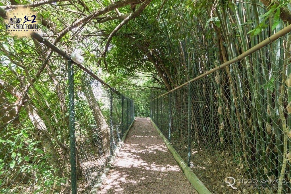 Apartamento, 2 quartos, 45 m² - Foto 2