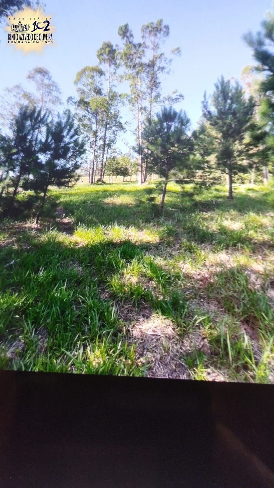 Chácara, 3 quartos, 2 hectares - Foto 23