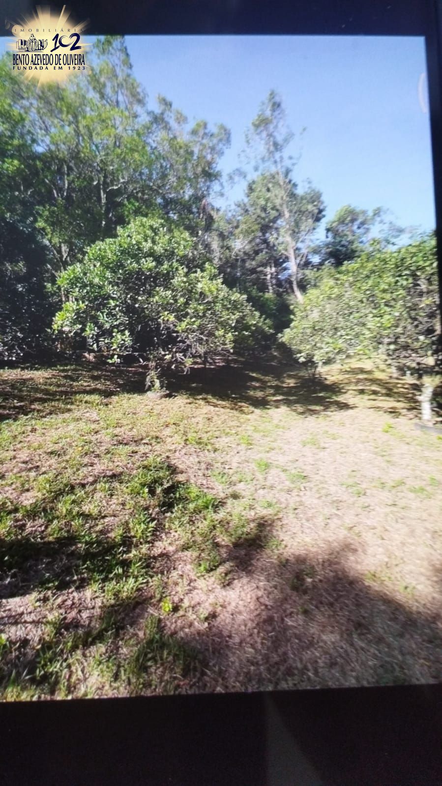 Chácara, 3 quartos, 2 hectares - Foto 21