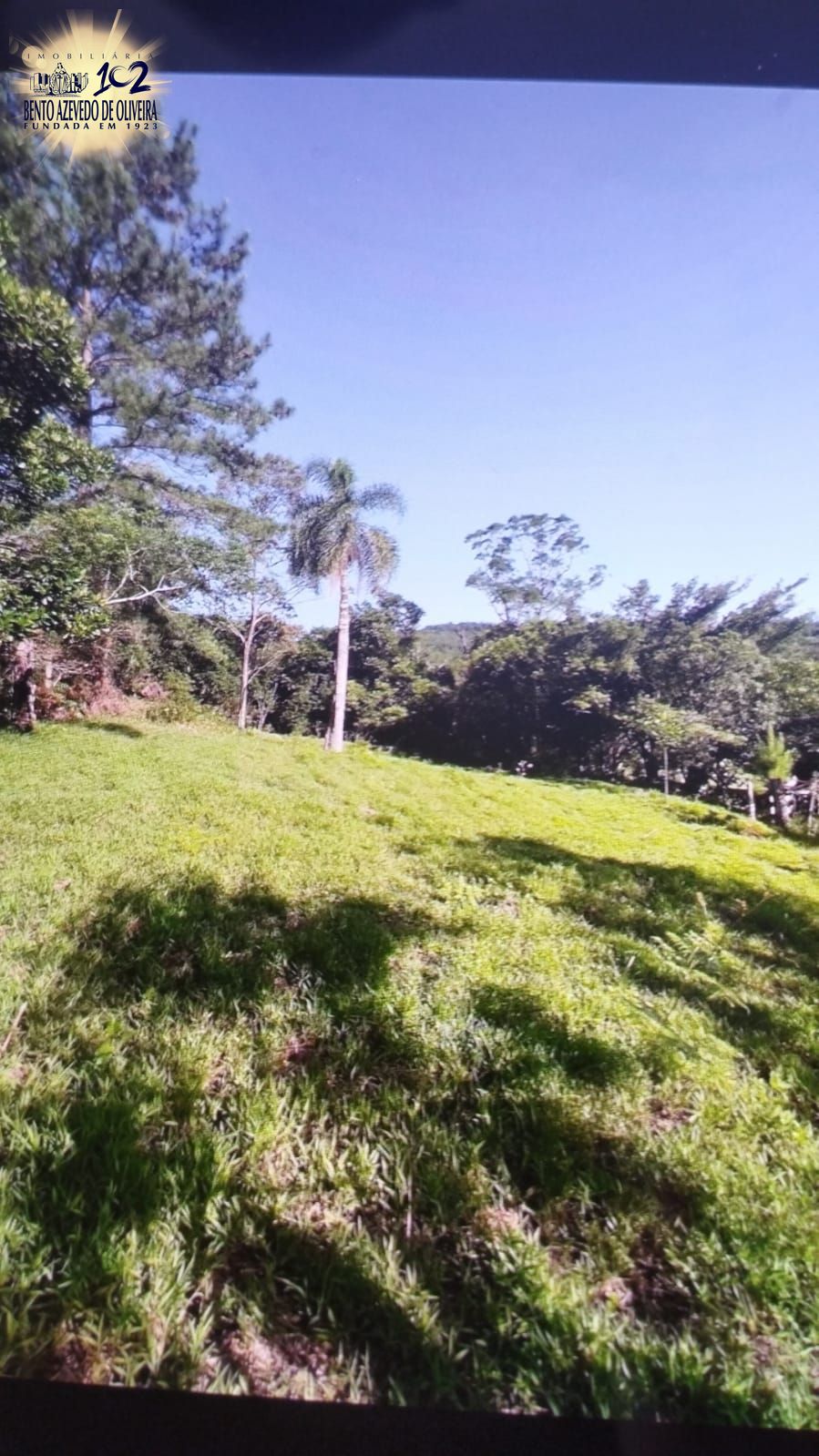 Chácara, 3 quartos, 2 hectares - Foto 24