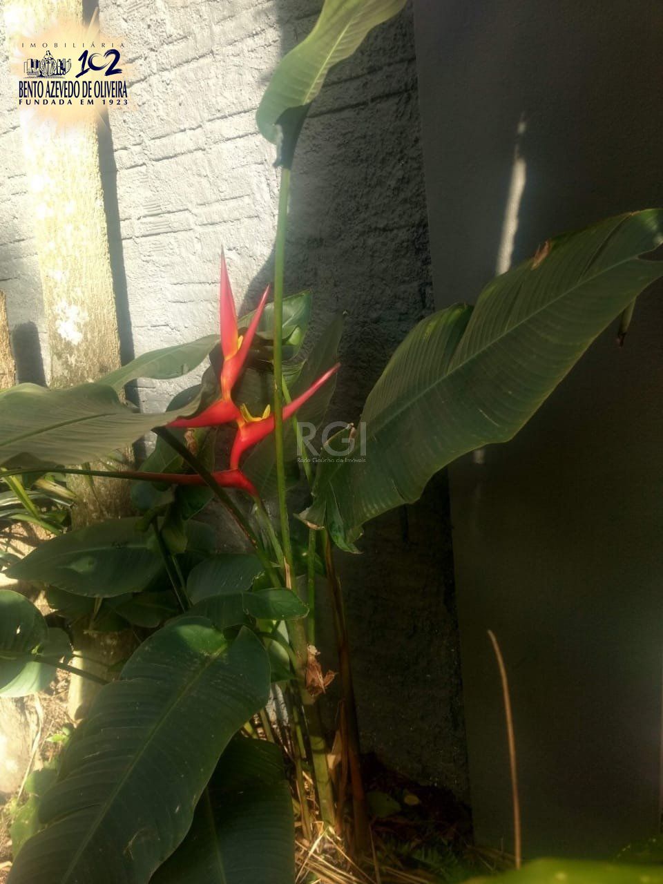 Terreno, 1 m² - Foto 11