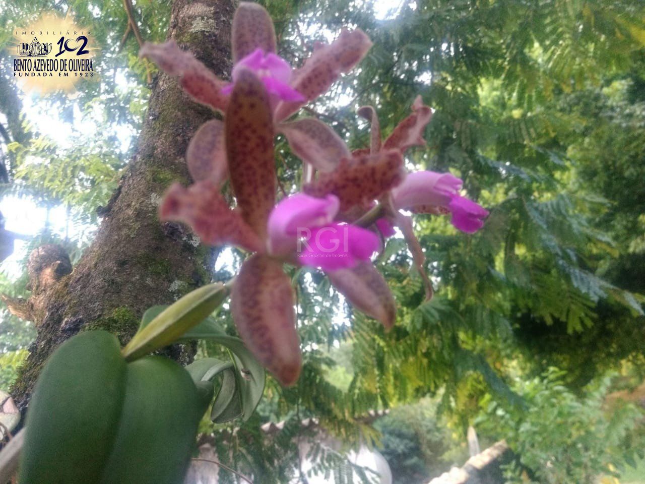 Terreno, 1 m² - Foto 32