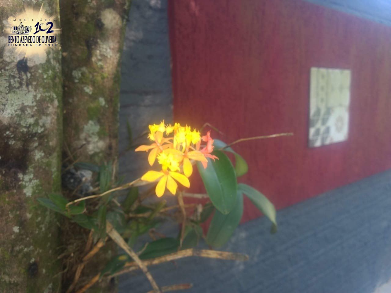 Terreno, 1 m² - Foto 10