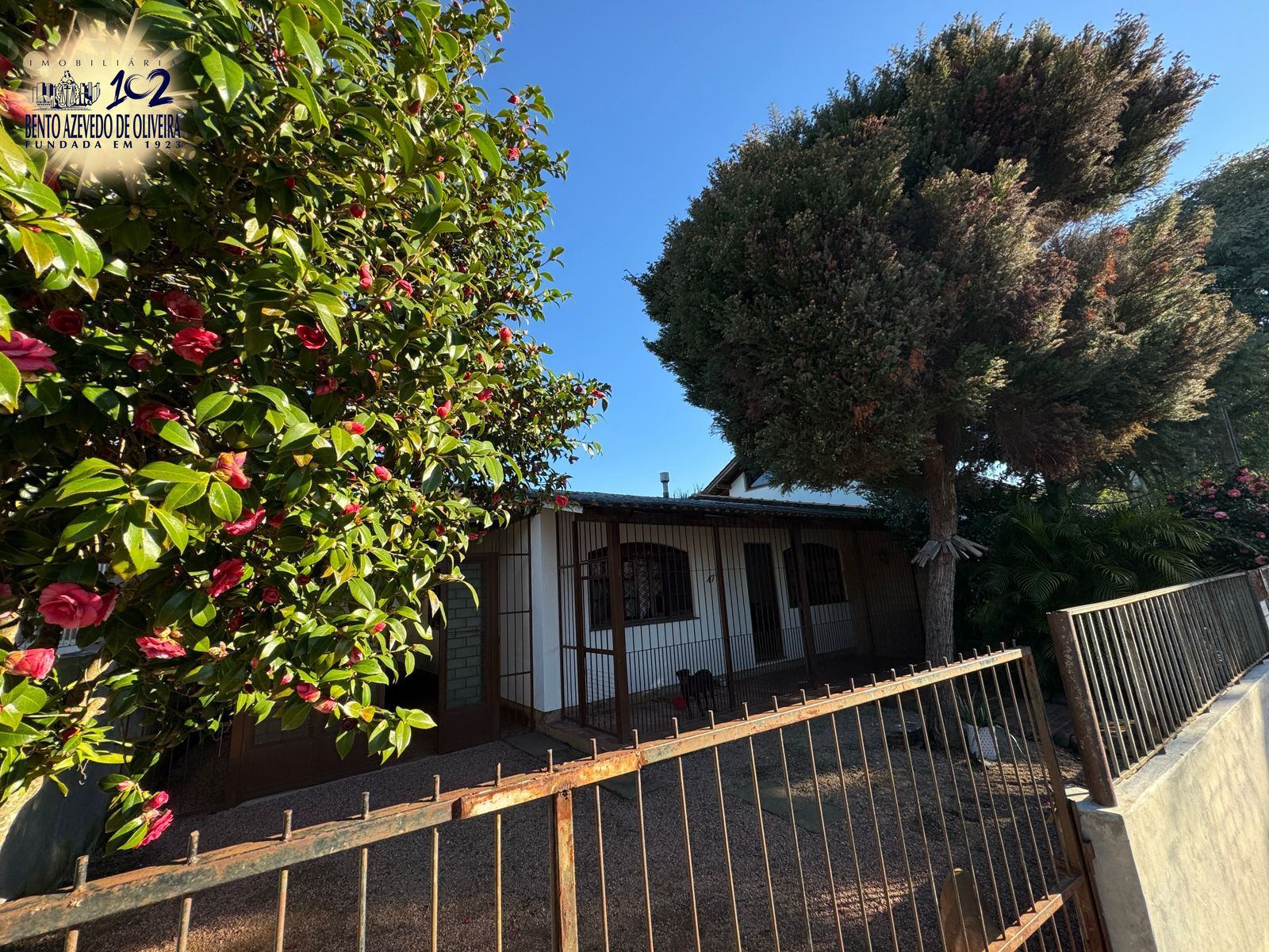 Casa, 3 quartos, 345 m² - Foto 1