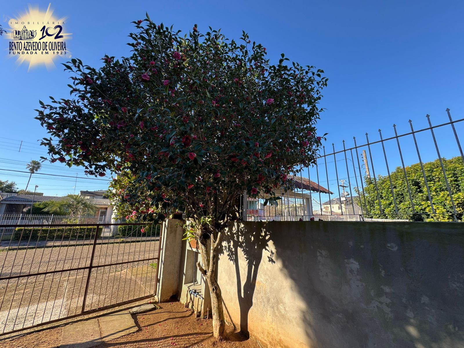 Casa, 3 quartos, 345 m² - Foto 19