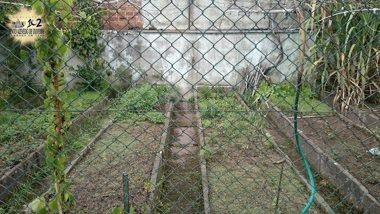 Casa, 4 quartos, 464 m² - Foto 14