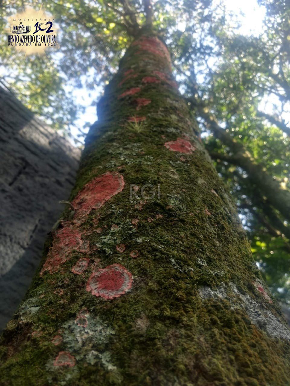 Terreno, 1 m² - Foto 34