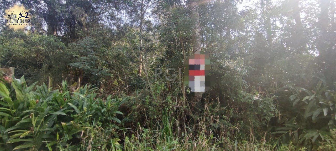 Terreno, 3 m² - Foto 4