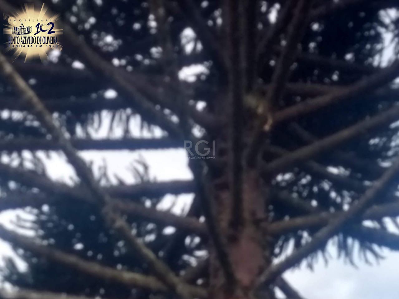 Terreno, 1 m² - Foto 22