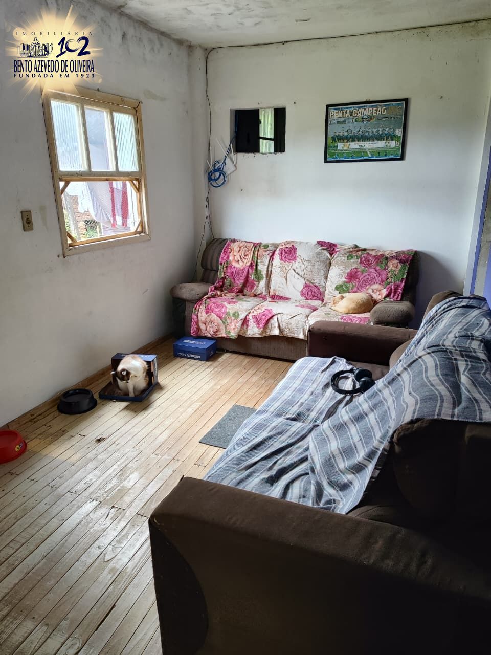 Casa, 3 quartos, 100 m² - Foto 5