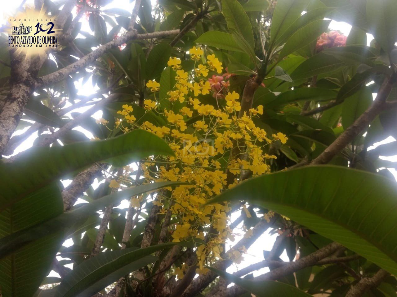 Terreno, 1 m² - Foto 13