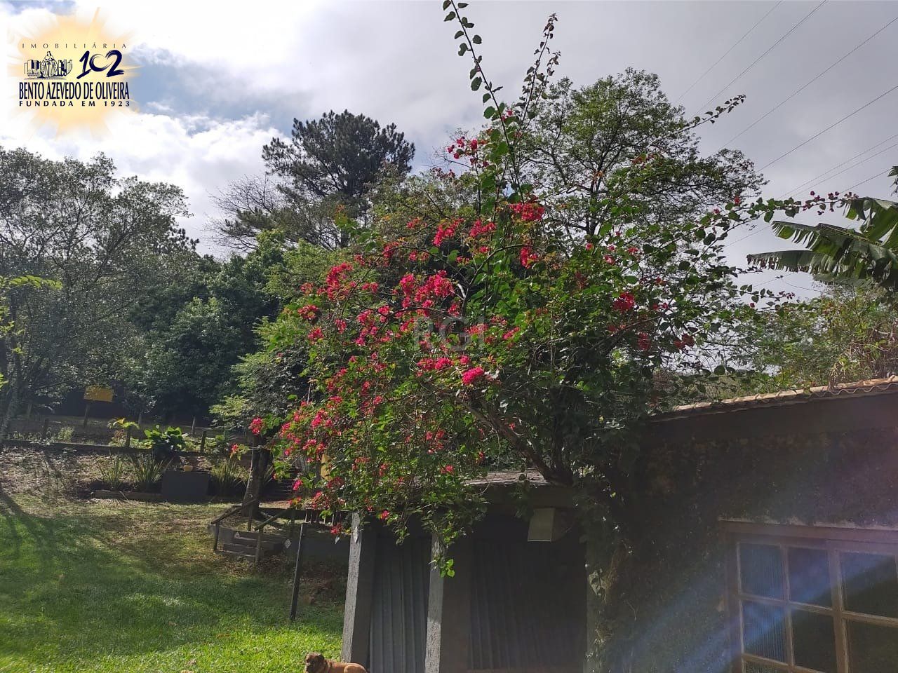 Terreno, 1 m² - Foto 12