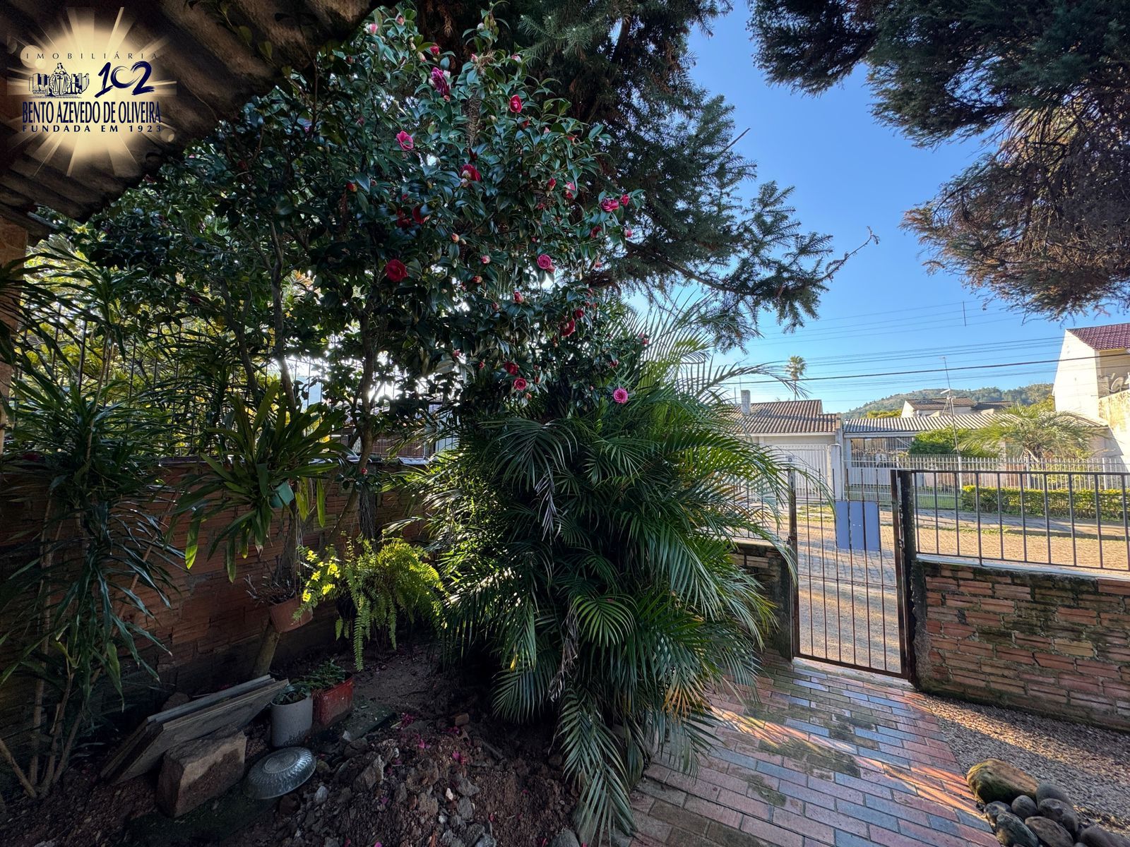 Casa, 3 quartos, 345 m² - Foto 3