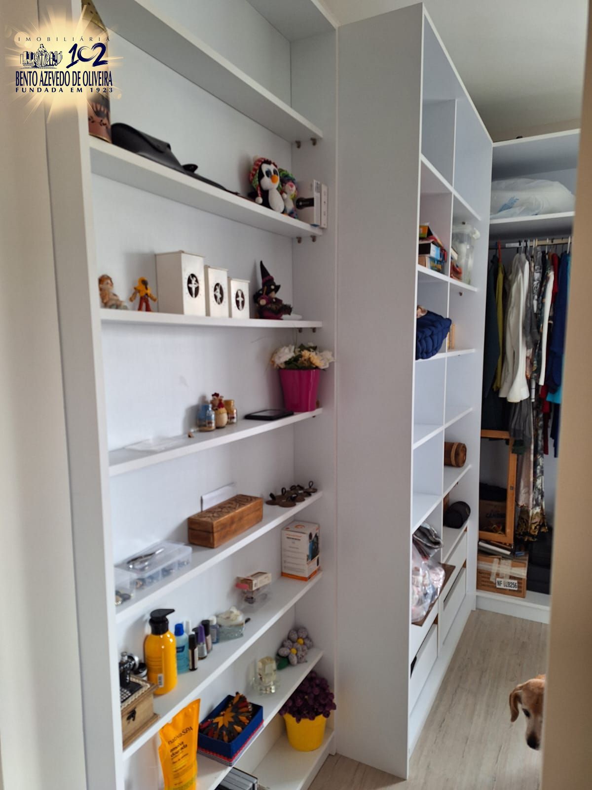 Apartamento, 3 quartos, 75 m² - Foto 2