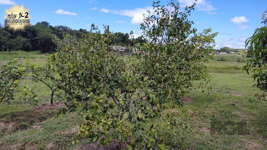 Chácara, 4 quartos, 2 hectares - Foto 40