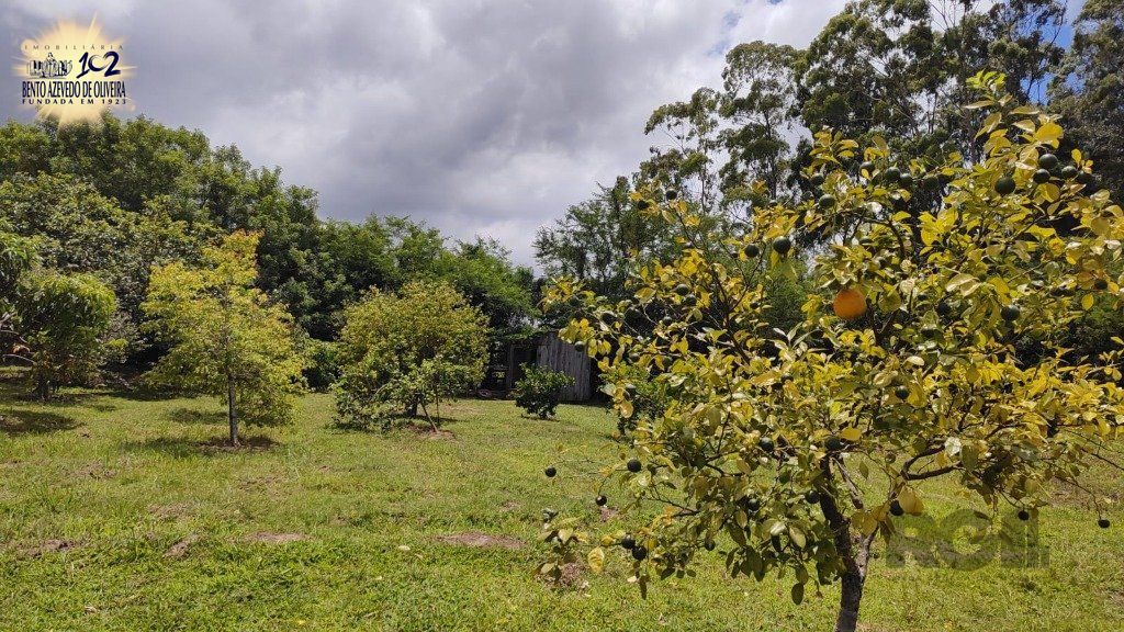 Chácara, 4 quartos, 2 hectares - Foto 41