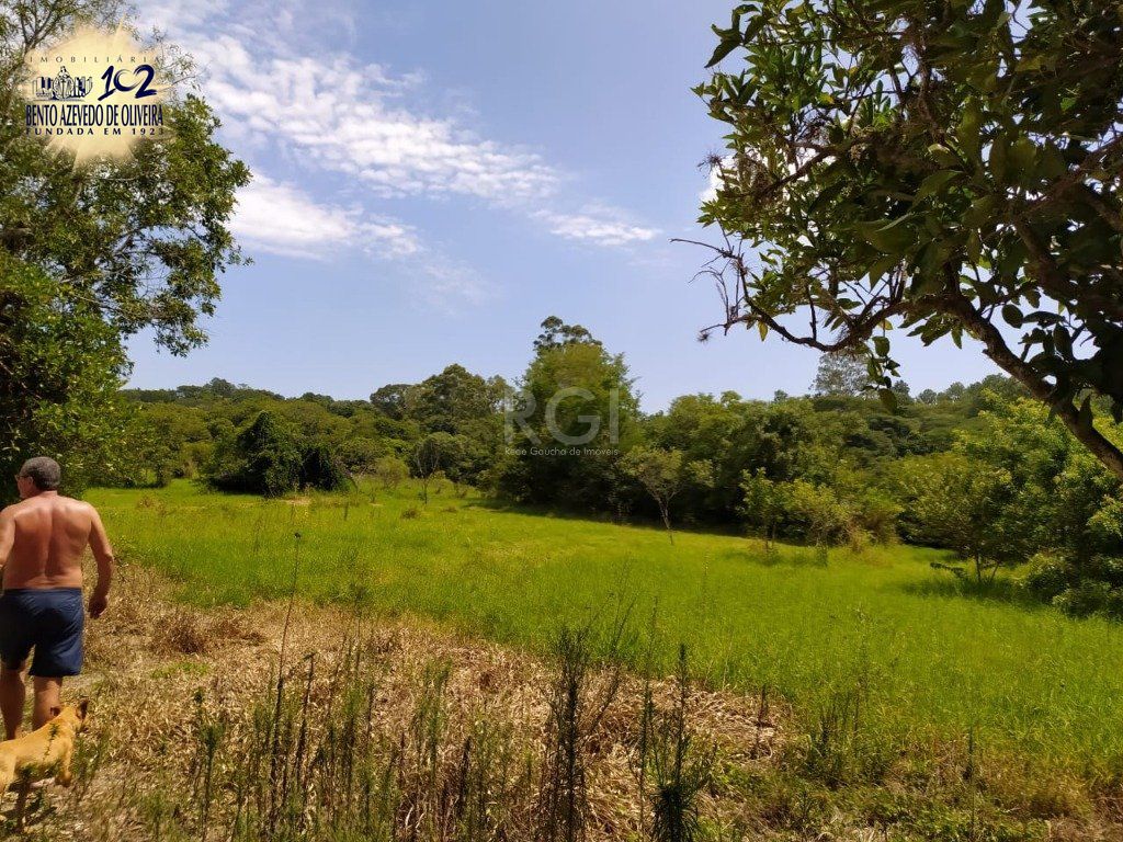 Terreno, 3 hectares - Foto 8