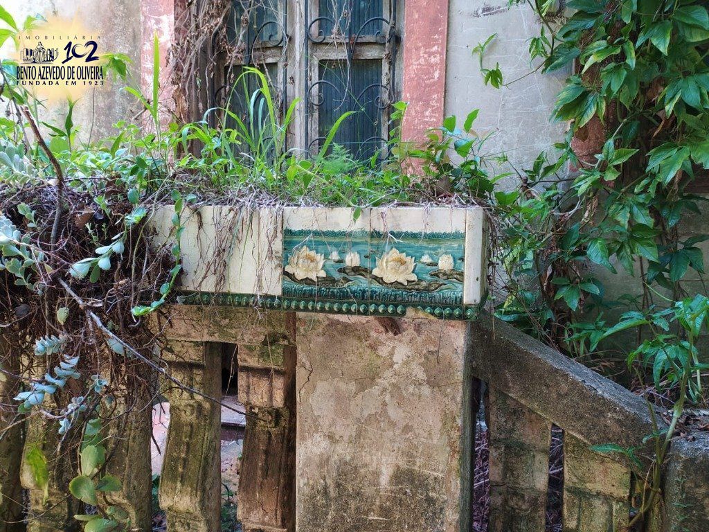 Terreno, 3 hectares - Foto 13