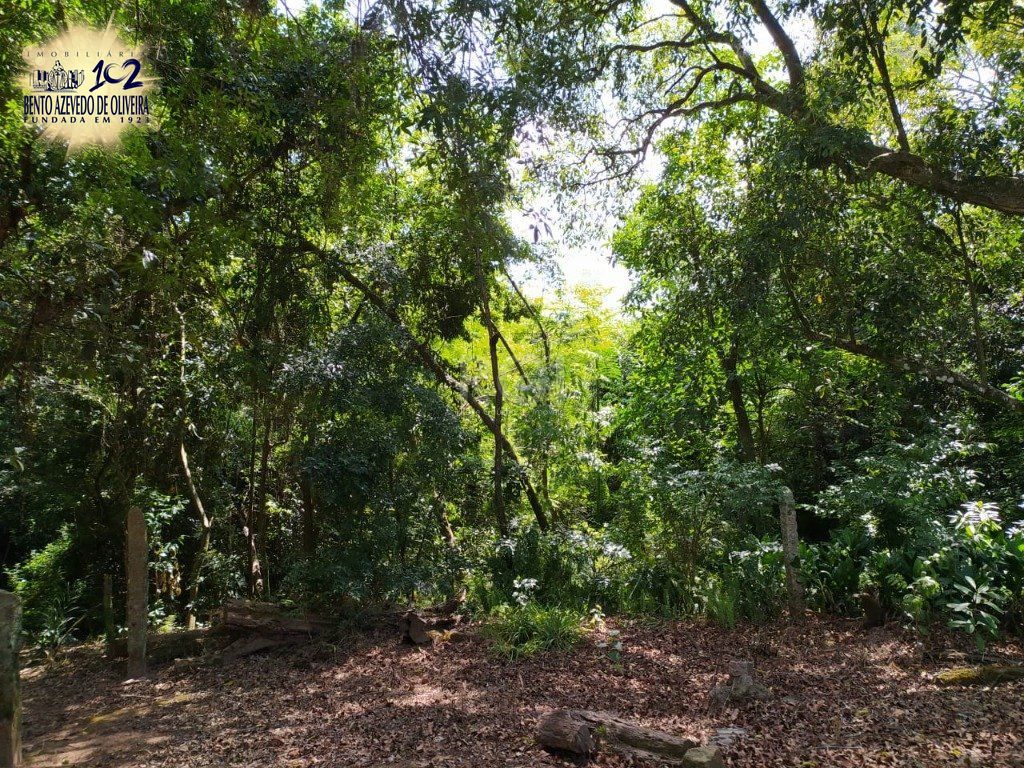 Terreno, 3 hectares - Foto 11