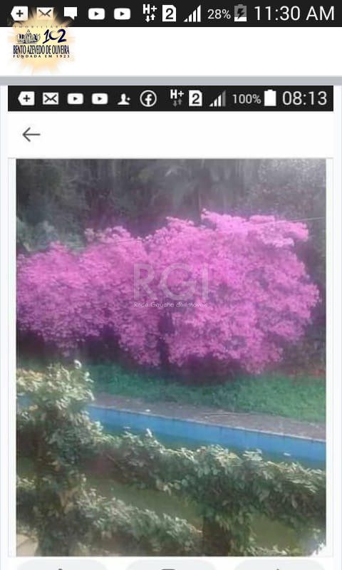 Terreno, 2000 hectares - Foto 19