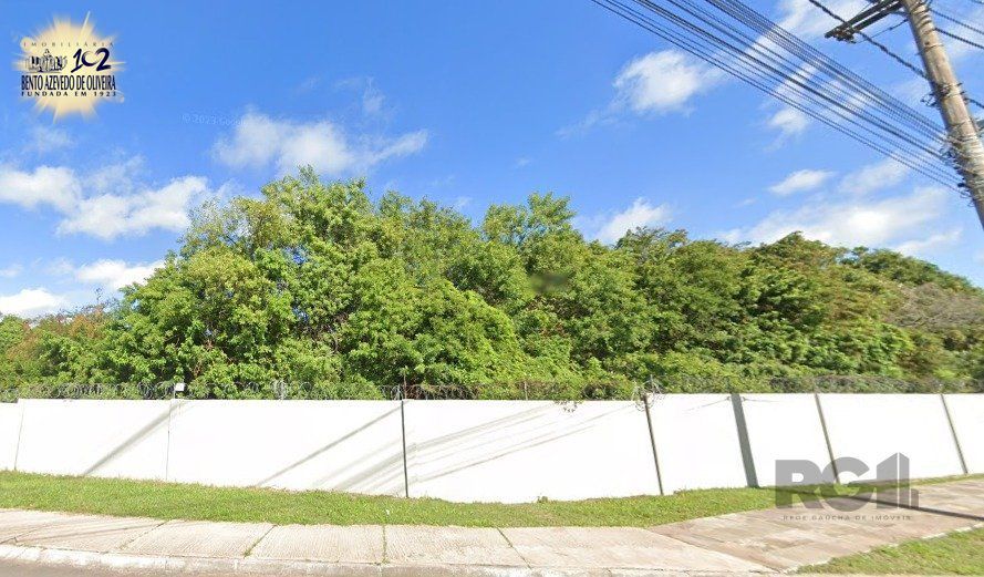 Terreno, 6 hectares - Foto 5