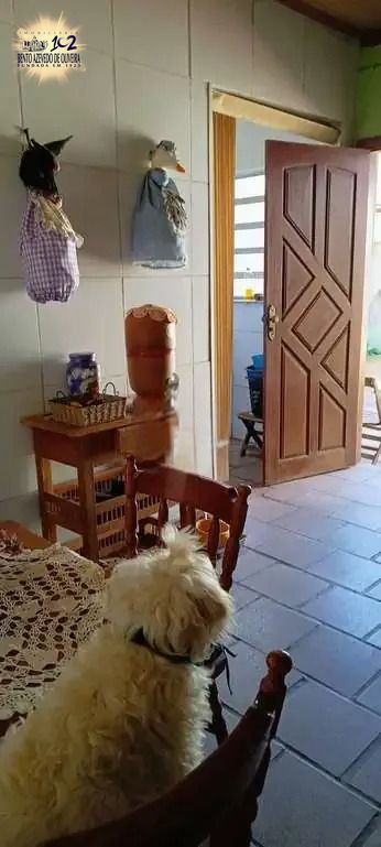 Casa, 3 quartos, 136 m² - Foto 17