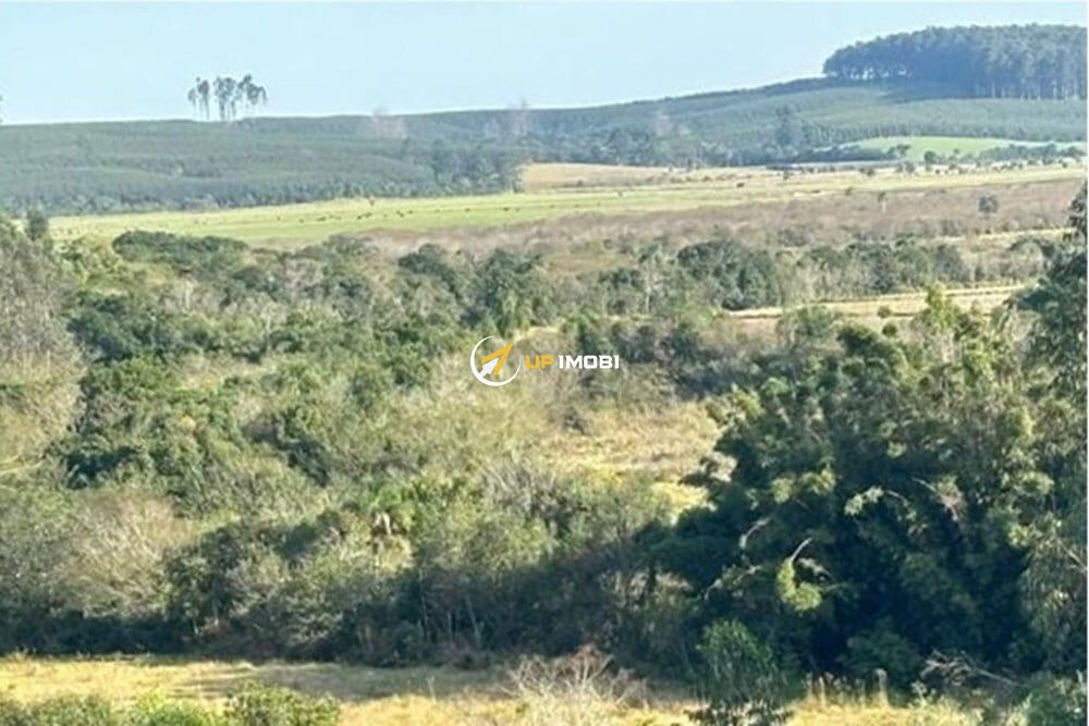 Fazenda com 562997m² no bairro Centro em Tapes para Comprar
