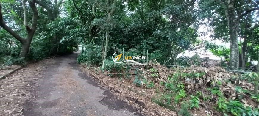 Terreno com 3291m² no bairro Camaquã em Porto Alegre para Comprar