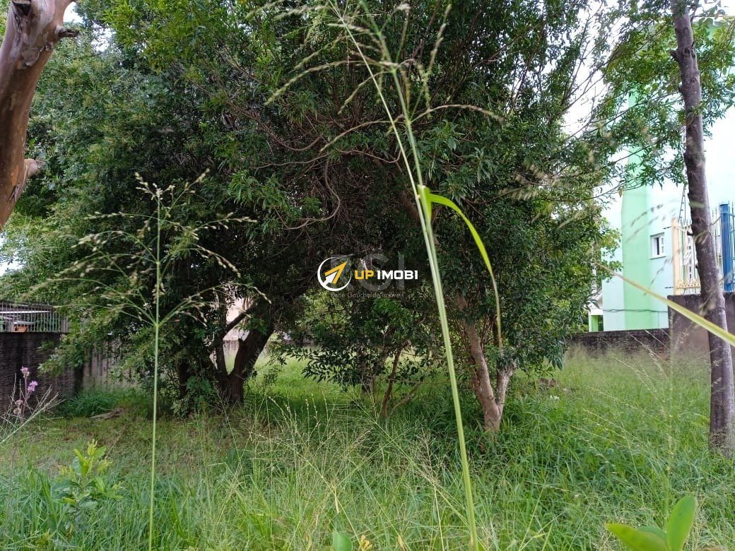 Terreno com 368m² no bairro Tristeza em Porto Alegre para Comprar