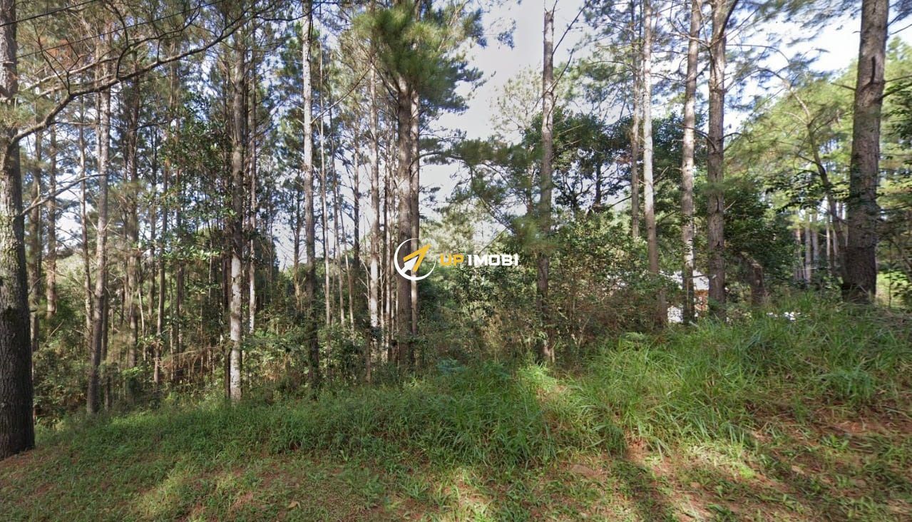 Terreno com 3784m² no bairro Hípica em Porto Alegre para Comprar